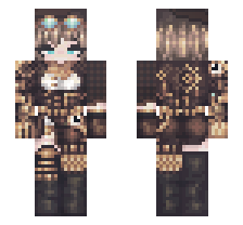 skin