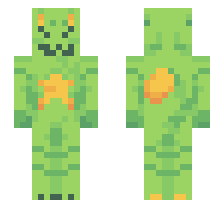 skin