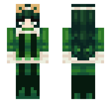 skin