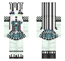 skin