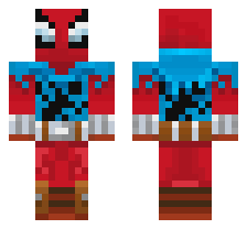 skin