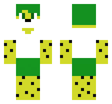 skin