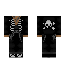 skin