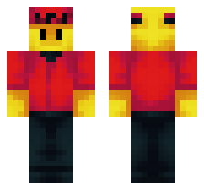 skin