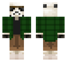 skin