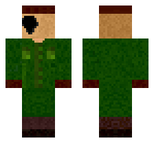 skin