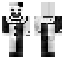 skin