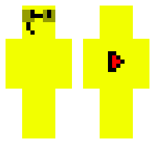 skin