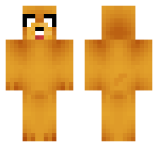 skin