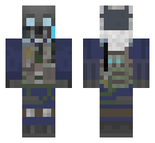 skin