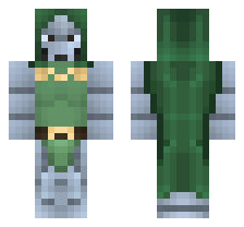 skin