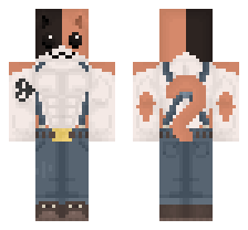 skin