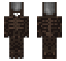 skin