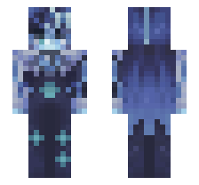 skin