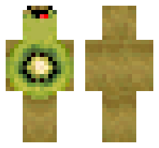 skin