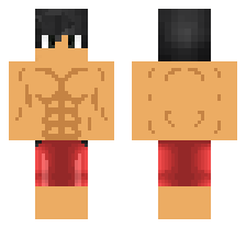 skin