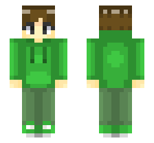 skin