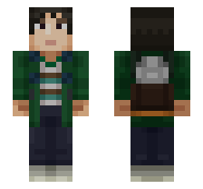 skin