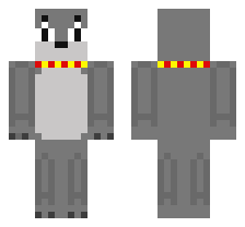 skin