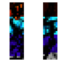 skin