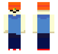 skin