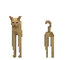 3D