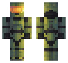 skin