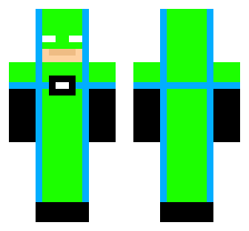 skin