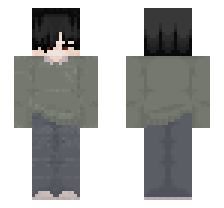 skin