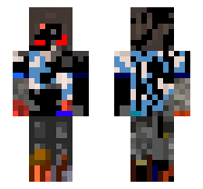 skin