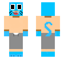 skin