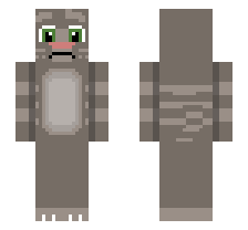 skin