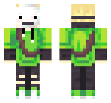 skin