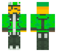 skin
