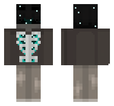 skin