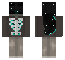 skin