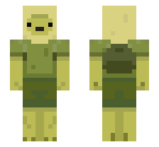 skin