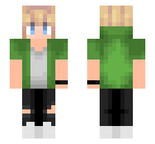 skin