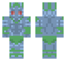 skin