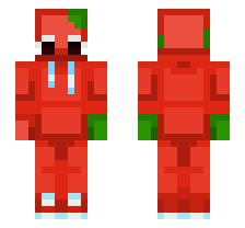 skin