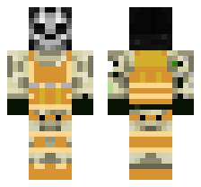 skin