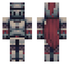 skin