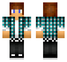 skin