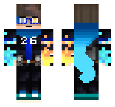 skin