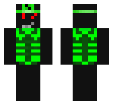skin