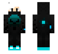 skin