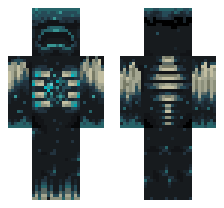 skin