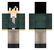 skin