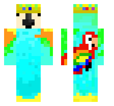 skin