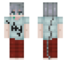 skin